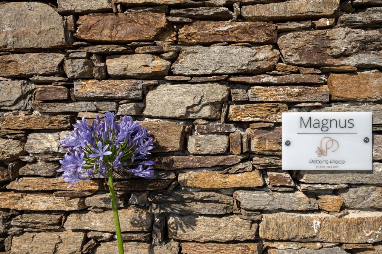Peters Place - Paros Resort Parasporos Luaran gambar